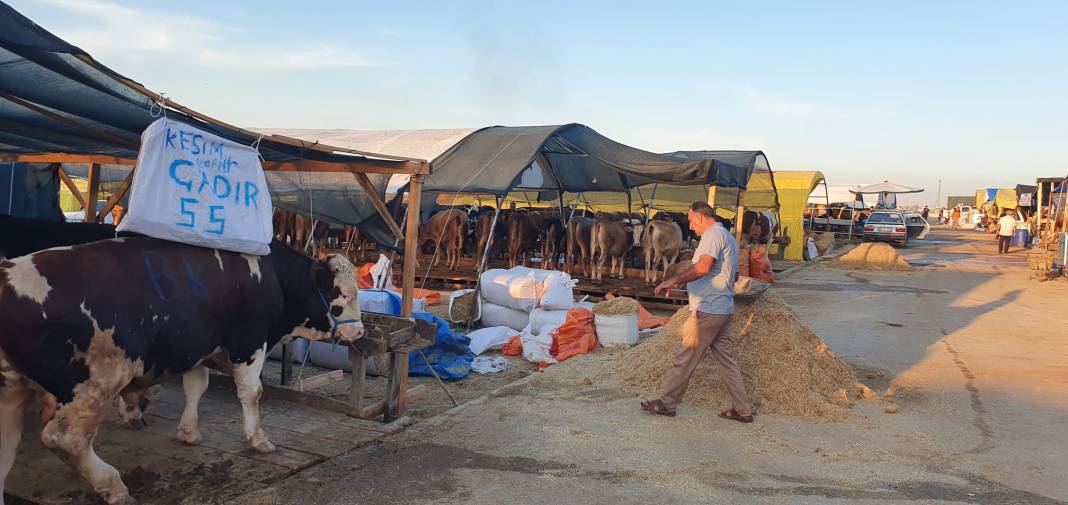 Sincan Yeniçimşit Kurban Pazarı’nda kurbanlık fiyatları 13